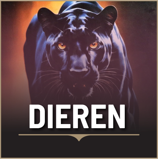 Dieren